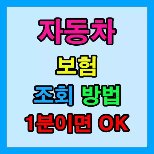 자동차보험 조회 내 차 보험 가입 내역 1분 조회